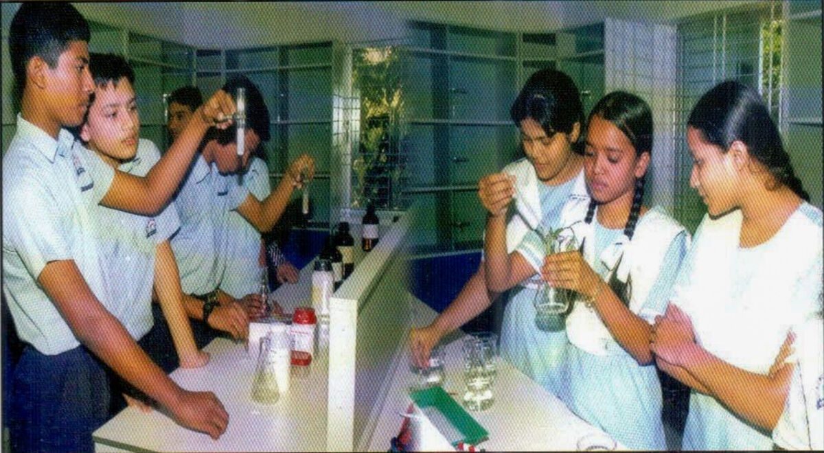 Students at work in the science lab